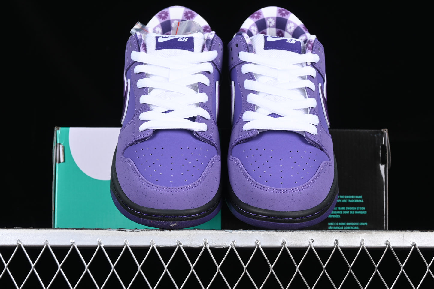 Lobster Purple