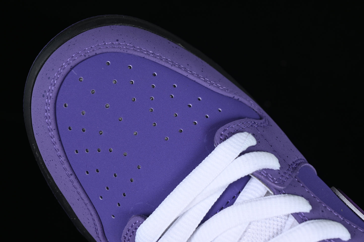 Lobster Purple