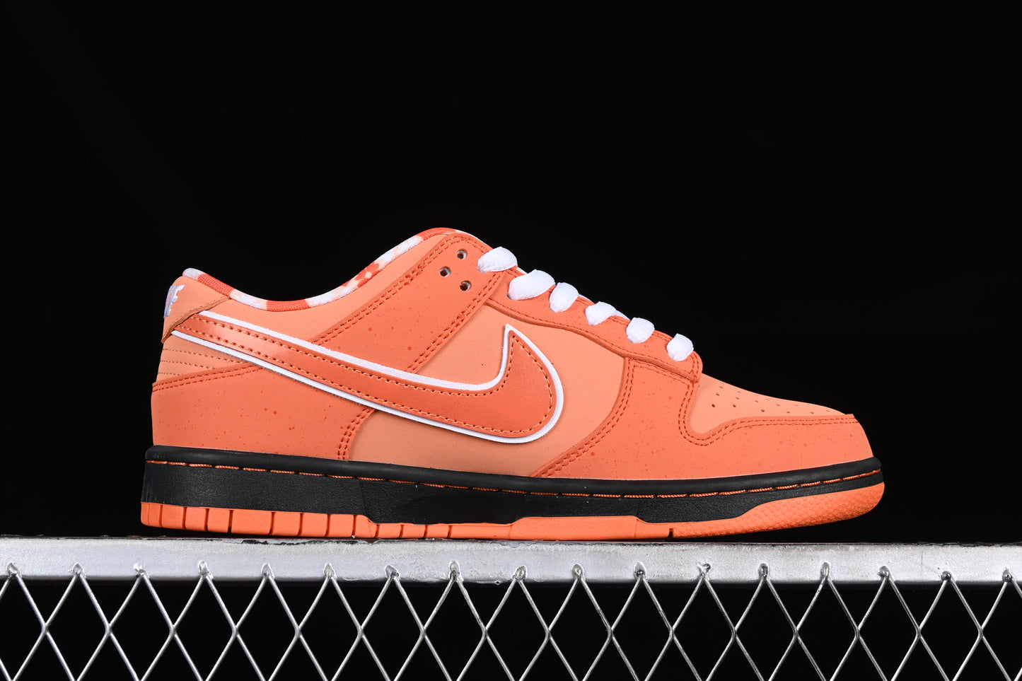 Lobster Orange