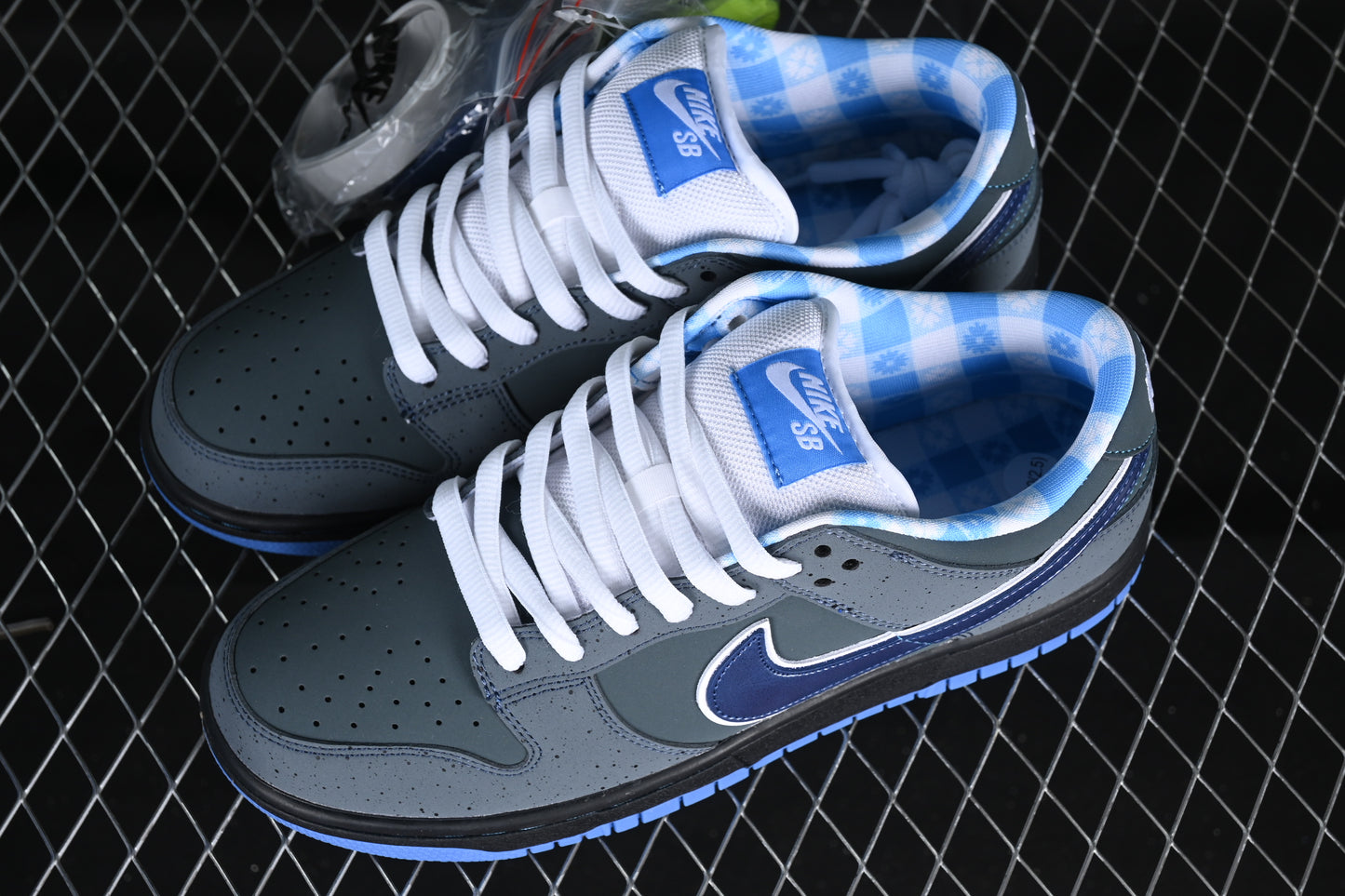 Lobster Blue