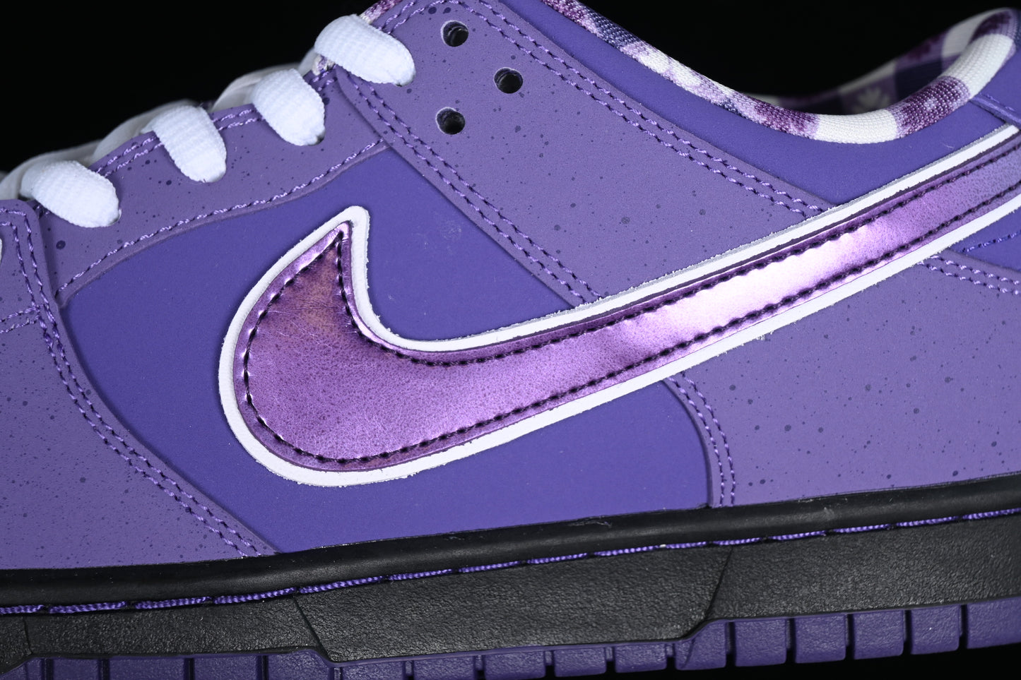 Lobster Purple