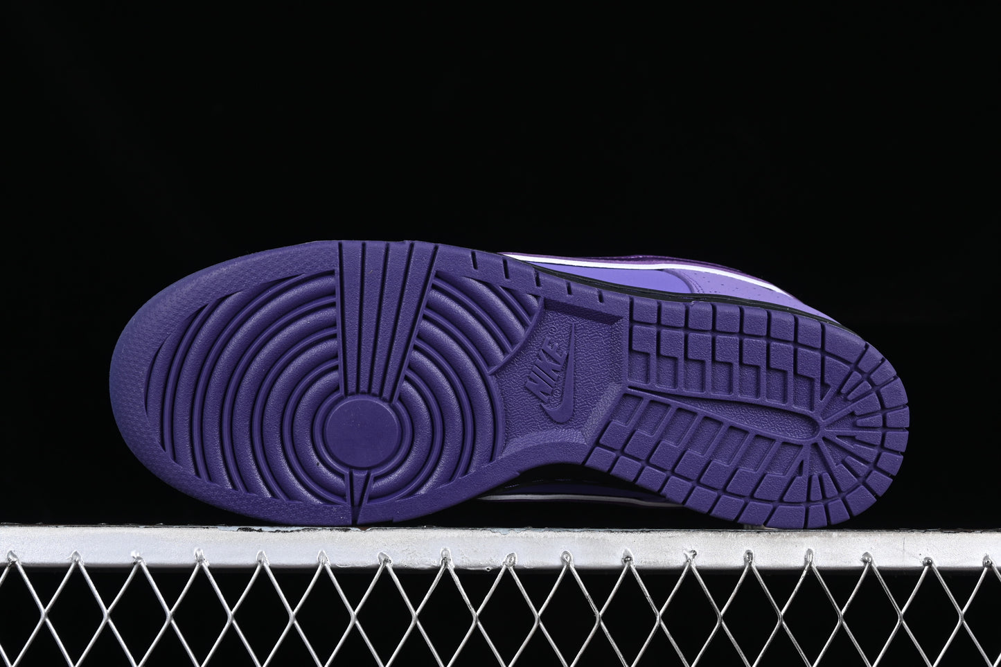 Lobster Purple
