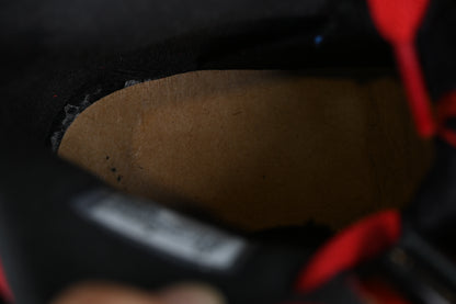Toro Bravo