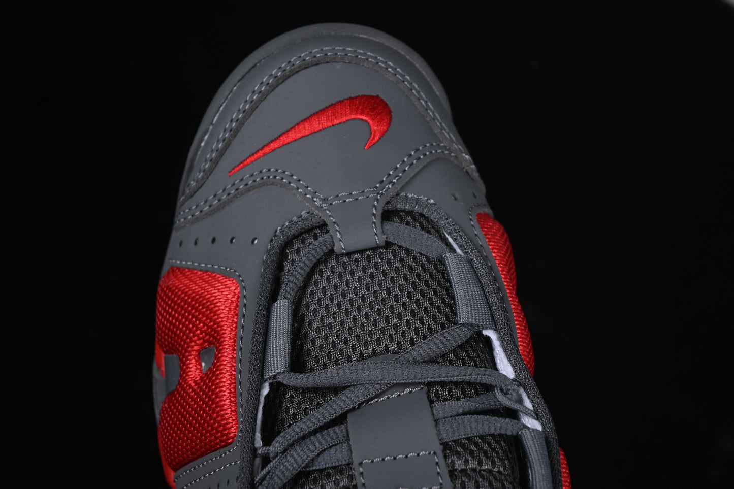 Dark Grey Light Crimson