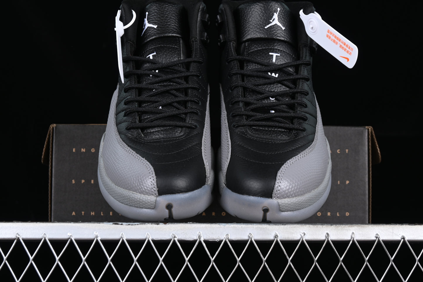 Wolf Grey