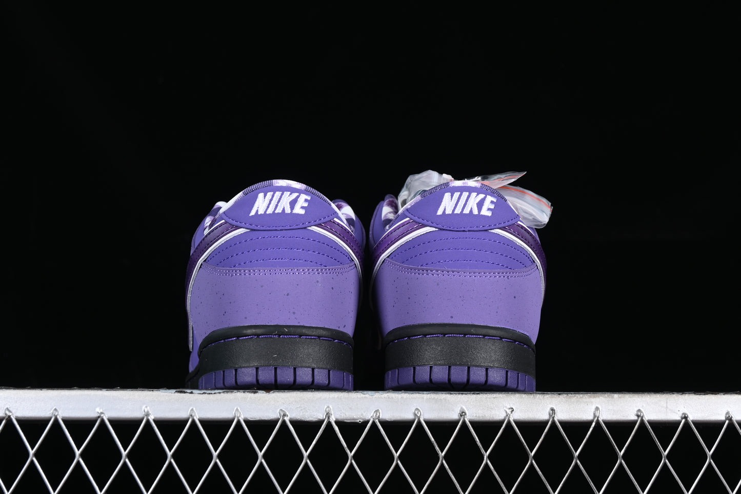 Lobster Purple