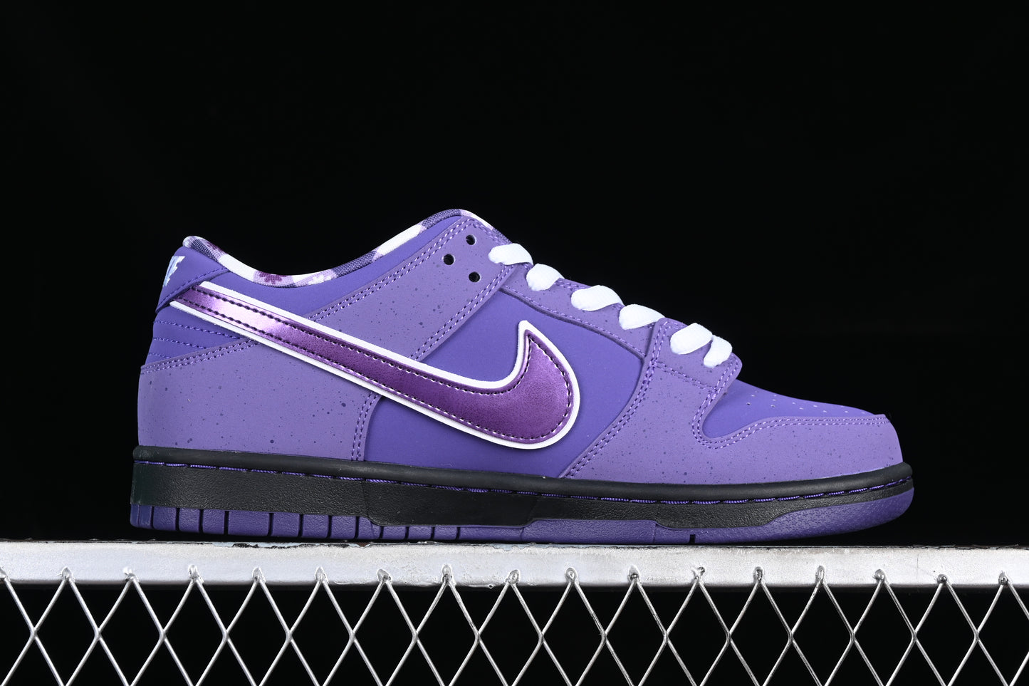 Lobster Purple