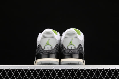 Chlorophyll