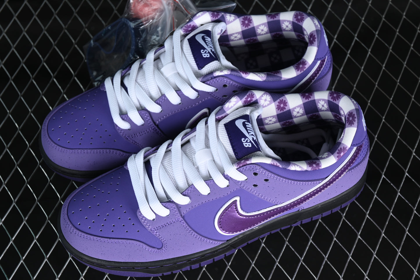 Lobster Purple