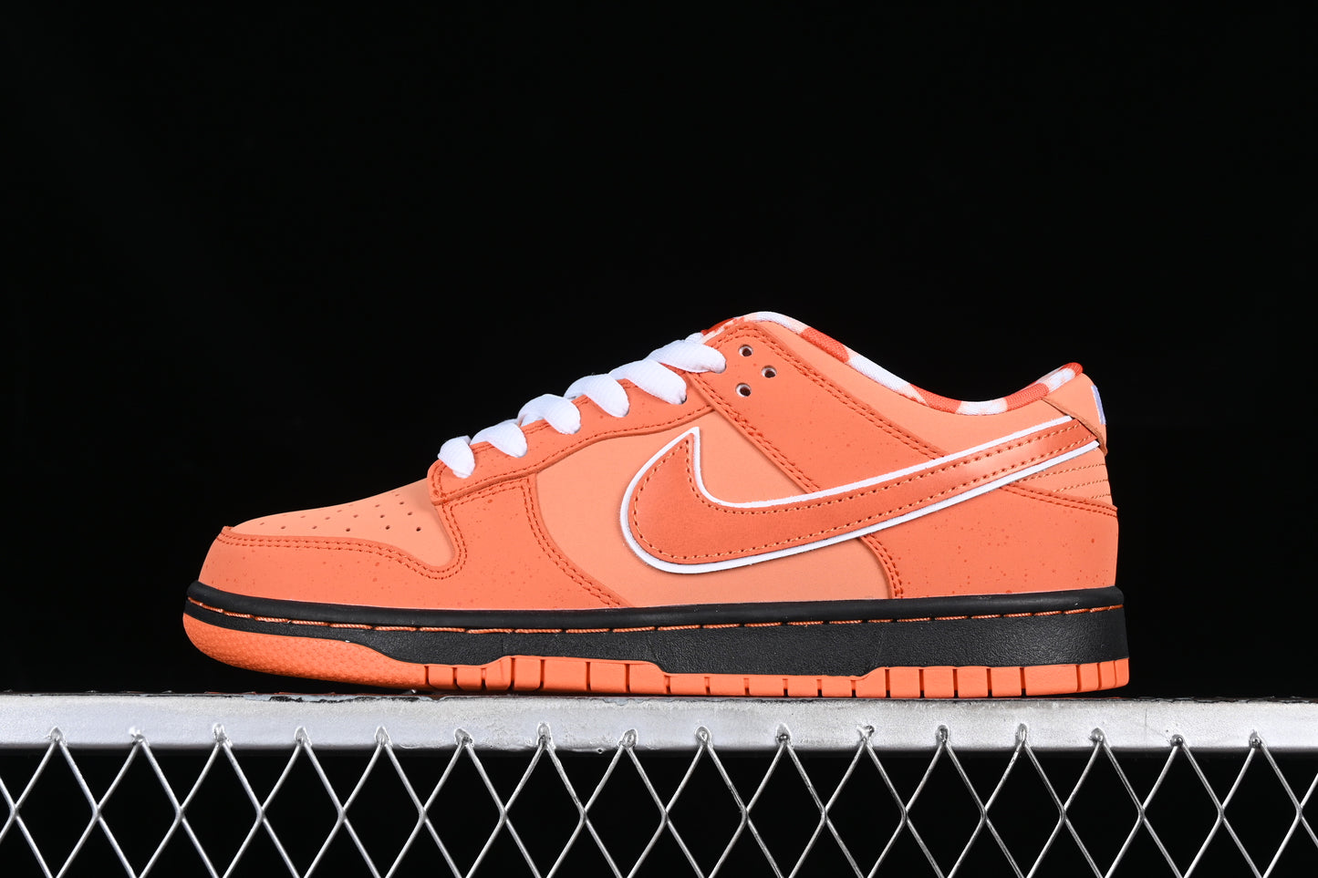 Lobster Orange