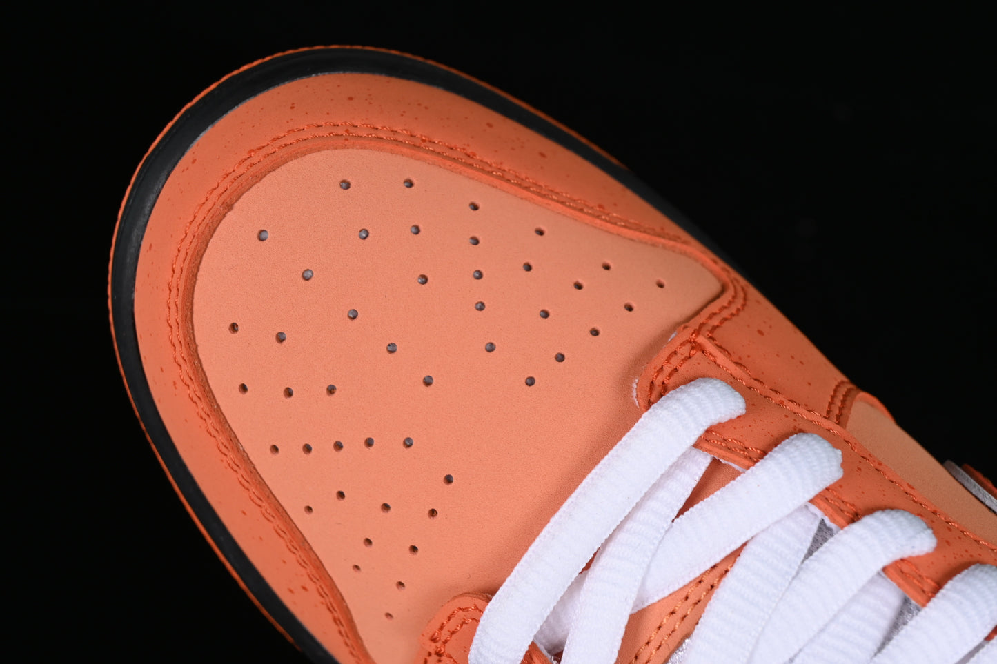 Lobster Orange