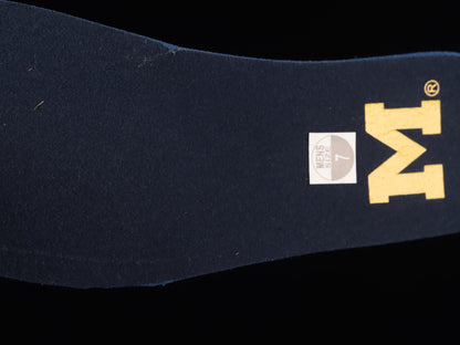 Michigan Wolverines