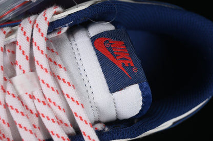 SB Dunk Low